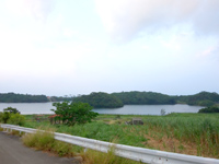 久米島のカンジンダム自然公園/カンジンため池/貯水池/地下ダム - 池自体はかなり大きい