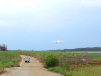南大東島の滑走路脇の一本道 - 飛行機が飛び立つシーンはレアもの