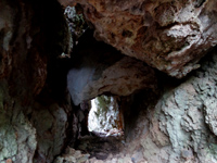 南大東島のバリバリ岩 - 階段を下り始めると洞窟的になる