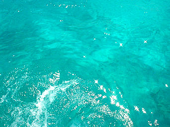 水納島の水納島の海の色：船から見下ろした海はありえないくらいキレイ