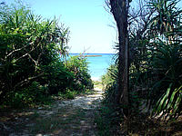 水納島のカモメ岩のビーチ - ビーチへと向かう道