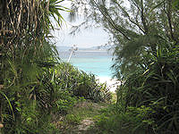 水納島の灯台先のビーチ - こんな草むらを抜けて行きます