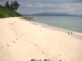 水納島の島南側のビーチ