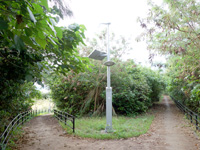 宮古島のパイナガマ海空すこやか公園/パイナガマ公園 - 公園とビーチを繋ぐ遊歩道は迷路状態