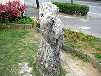 宮古島の人頭税石 - この石に一輪の花が咲いていました