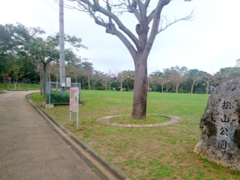 那覇の松山公園：那覇市街なのに広大な公園です