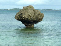 大神島の奇岩/のこぎり岩/ノッチ - ノッチを単独で見れるのは大神島ぐらい？