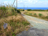 沖永良部島の「アバの滝への道」