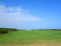 多良間島「旧多良間空港滑走路/可倒式風力発電「たらまる」/メガソーラー/多良間村ヤギ加工施設」