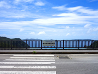 渡嘉敷島の慶良間海峡展望所/トカシクビーチ絶景ポイント - 横断歩道は駐車スペースとの往来のためだが・・・