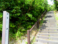 渡嘉敷島の照山展望台への道/森林公園