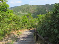 渡嘉敷島の照山園地/遊歩道 - トカシク側から展望台までは結構距離があります