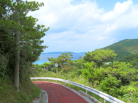 渡嘉敷島のトカシクビーチと阿波連を結ぶ道