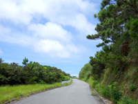 渡嘉敷島の久比里原林道/渡嘉敷島東岸の道 - 西側のトカシク高台からの入口