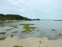 徳之島の金見崎海岸 - 透明度はいいが泳ぐのにはちょっとかな？