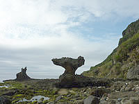 徳之島の小原海岸 - ノッチことのこぎり岩が多い