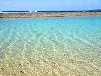 徳之島の瀬田海海浜公園 - インリーフの海の透明度はすごい！