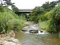 徳之島の田行の滝への道/田行川