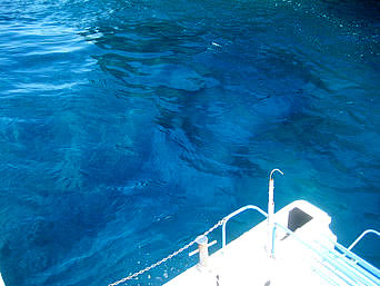 海の上から見た海底遺跡の情報 沖縄離島ドットコム