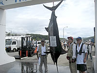 与那国島の久部良漁港 国際カジキ釣り大会
