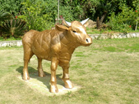 オブジェ/ヤンバルクイナ＆黄金牛