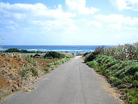 与論島のワタンジ/麦屋の先の海岸 - こんな感じの道を進んでいくとビーチがあります