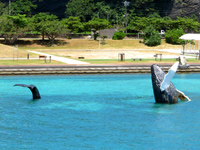 座間味島「鯨のオブジェ」