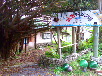 奄美大島の渡連キャンプ場(2019年より休業)