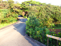 奄美大島の波音/hanon - 倉崎海岸までの道の脇道を上った先にある