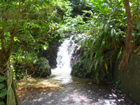 奄美大島の民宿サンゴ(リニューアルして再開) - 裏庭に滝があるのは驚き