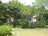 宮古島のVacation House T&K - 木々の奥にある一軒家 - 木々の奥にある一軒家
