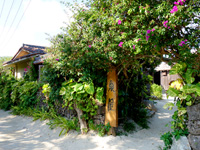 竹富島の民宿泉屋